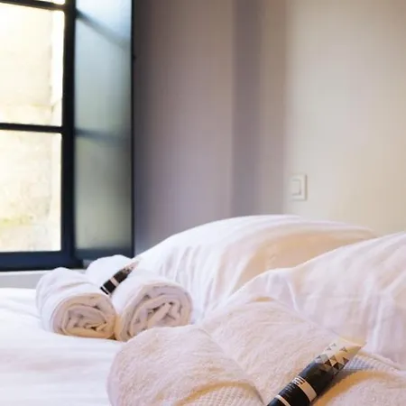 Le Celeste: Hypercentre, Quiet And Parking Apartment Poitiers